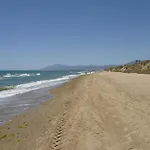 Large Beach Side Villa In Marbella
